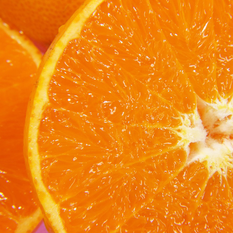 U6302_【2026年先行予約】ハウスせとか 秀品 6～15玉 和歌山県有田産