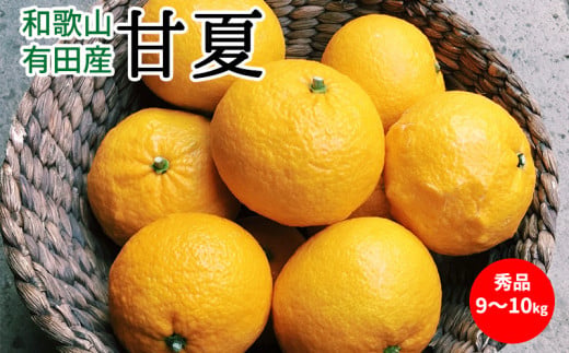 【和歌山県有田郡湯浅町】U6304_【2026年先行予約】甘夏 秀品 約9〜10kg 和歌山県有田産