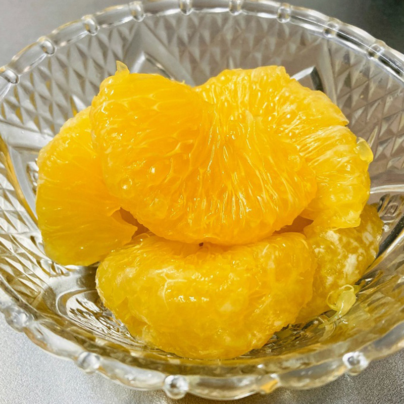 U6304_【2026年先行予約】甘夏 秀品 約9～10kg 和歌山県有田産