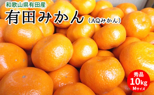 【和歌山県有田郡湯浅町】U6305_有田みかん(AQみかん)約10kg Mサイズ 和歌山県有田産