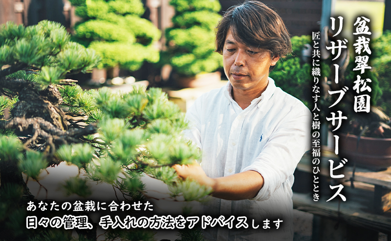 盆栽 翠松園 リザーブサービス 【あなたの盆栽に合わせた日々の管理をアドバイス】 チケット 体験チケット 