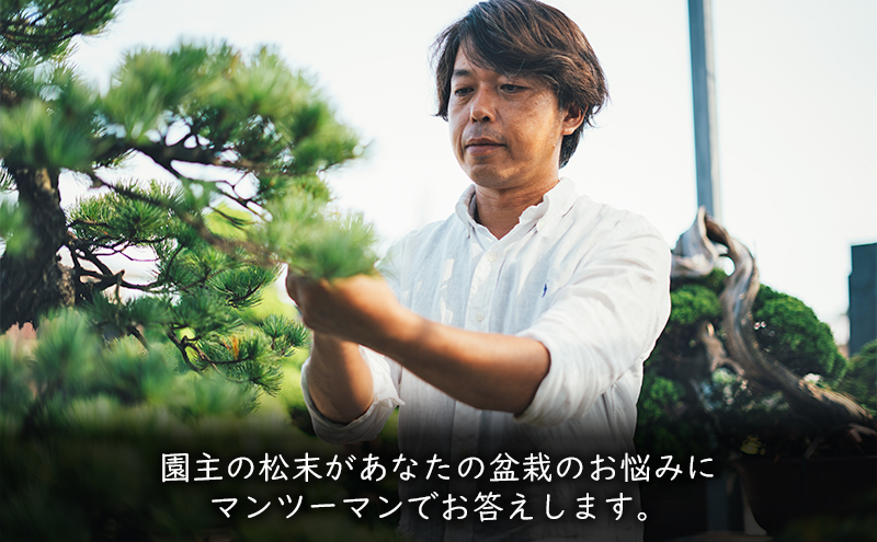 盆栽 翠松園 リザーブサービス 【あなたの盆栽に合わせた日々の管理をアドバイス】 チケット 体験チケット 