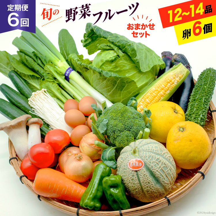 BF058 【6回定期便】旬の野菜・フルー