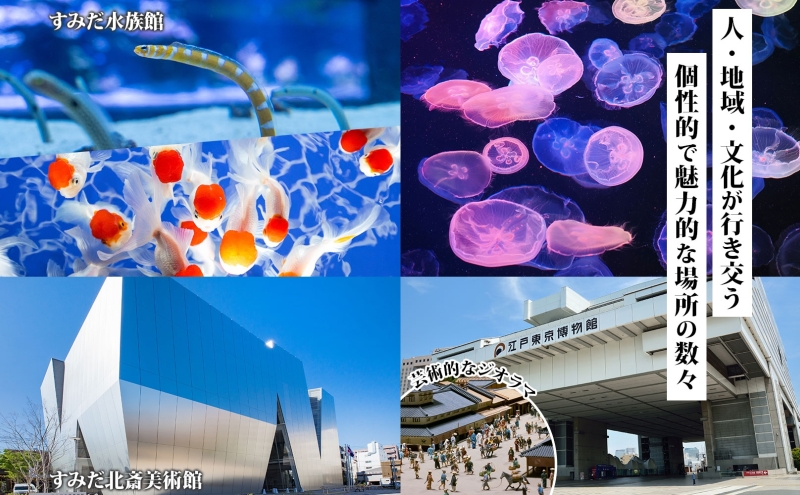 【東京ツアー】 墨田区 旅行クーポン 90,000円分 スカイツリー 両国国技館 観光 旅行 ホテル 旅館 老舗 高級 トラベル チケット 家族 カップル 宿泊 予約 おすすめ 父の日 母の日 旅行券 宿泊券