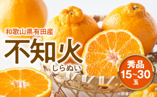 �y�a�̎R���L�c�S���󒬁zU6306_�y2026�N��s�\��z�s�m�� ����ʂ�(�f�R�|���Ɠ��i��) �G�i 15�`30�� �a�̎R���L�c�Y