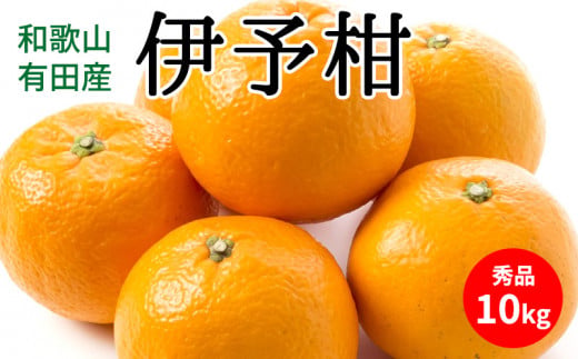 【和歌山県有田郡湯浅町】U6307_【2026年先行予約】伊予柑 秀品 約10kg 和歌山県有田産