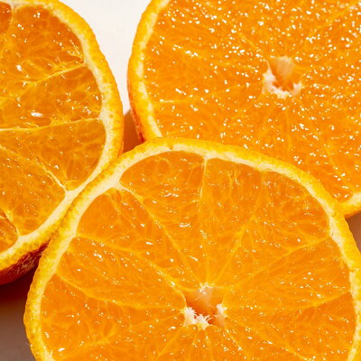 U6307_【2026年先行予約】伊予柑 秀品 約10kg 和歌山県有田産