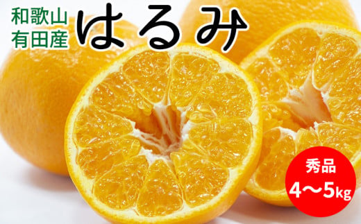 【和歌山県有田郡湯浅町】U6308_【2026年先行予約】はるみ 秀品 約4〜5kg 和歌山県有田産