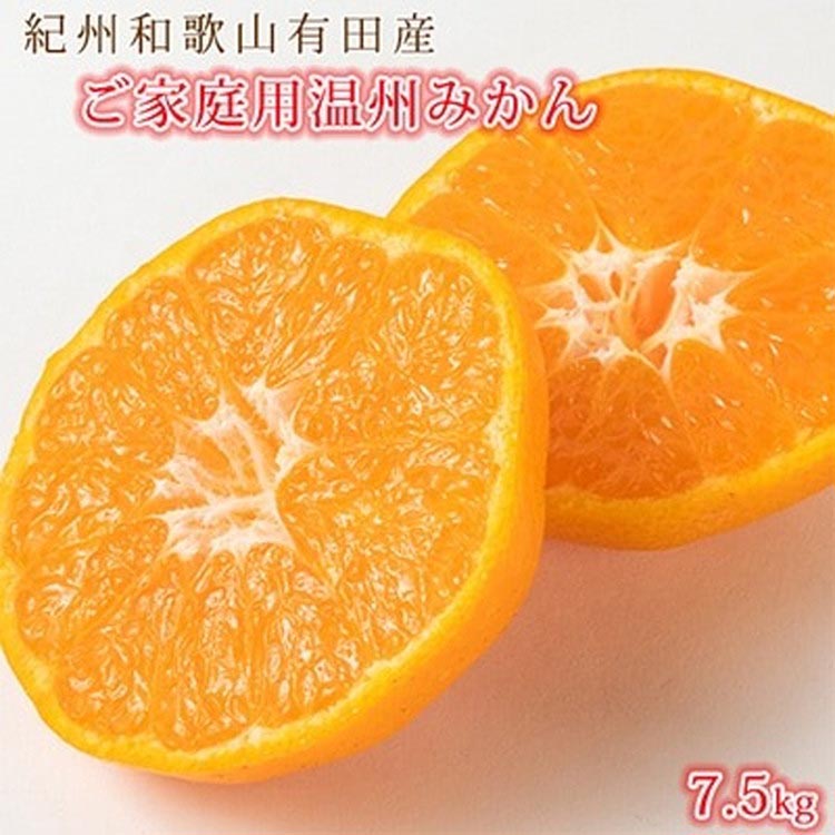 【和歌山県美浜町】〈定期便〉【1・2・3月 全3回】紀州和歌山産旬のご家庭用柑橘セット(みかん・不知火・レモン) ※離島への配送不可