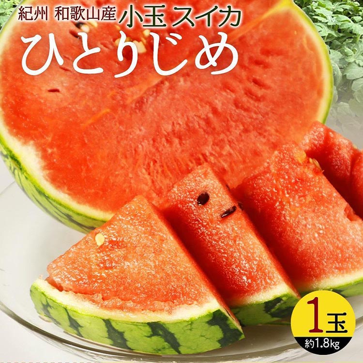 【和歌山県美浜町】〈定期便〉【6・8・10月 全3回】和歌山産 旬のフルーツのお楽しみ 定期便 【魚鶴】◇