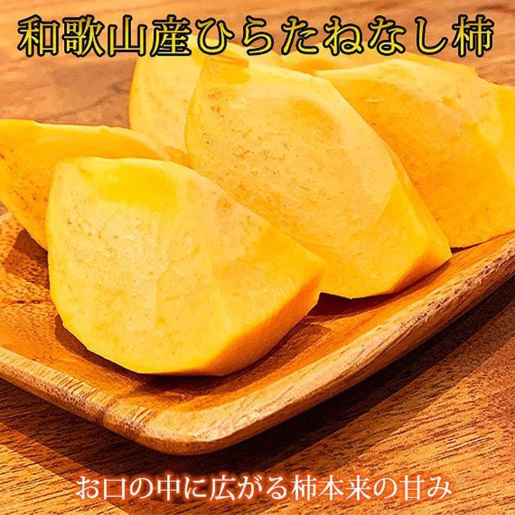 〈定期便〉【2・4・6・8・10・12月 全6回】和歌山産 旬のフルーツ お楽しみ 定期便 【魚鶴】◆｜不知火 清見 スイカ 桃 みかん フルーツ ふるーつ 果物 くだもの 詰め合わせ 果物定期便 オレンジ もも かき 国産 産地直送 美浜町
