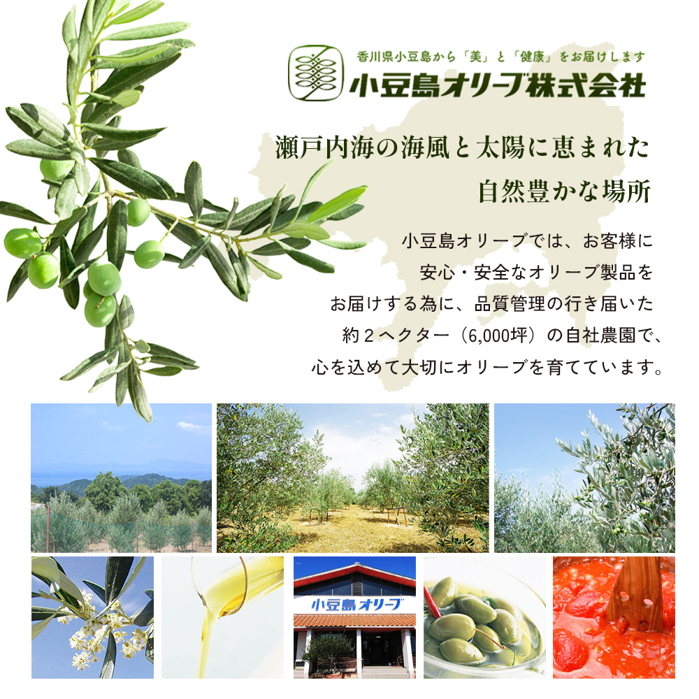 【 小豆島 】 瀬戸内レモン ドレッシング 200ml×3本 調味料 檸檬 レモン 柑橘 オリーブ 爽やか 香川 香川県 土庄 土庄町