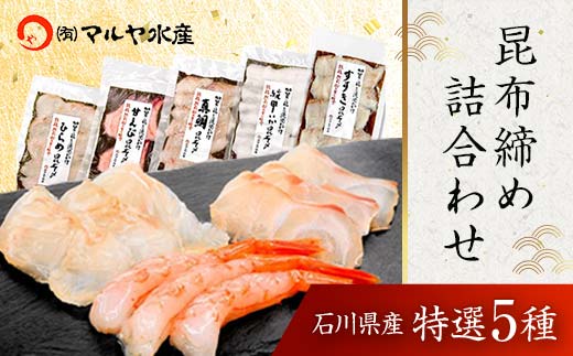 【石川県加賀市】昆布締め詰合せ おまかせ5種 無添加 昆布締め 刺身 おまかせ セット 詰合せ 真空包装 おつまみ 肴 海産物 海の幸 魚介 国産 食品 復興 震災 コロナ 能登半島地震復興支援 北陸新幹線 F6P-0562