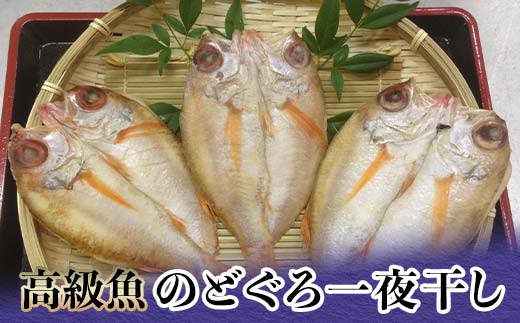 【石川県加賀市】高級魚のどぐろ一夜干し 約120g〜150g ×3 一夜干し あかむつ類 のどぐろ ノドグロ 魚  グルメ 海産物 海の幸 干物 おつまみ 肴 食品 復興 震災 コロナ 能登半島地震復興支援 北陸新幹線 F6P-2384