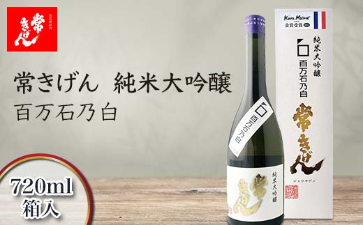 yΐ쌧sz킫 đ SΔT 720ml  Y {   t[eB[ n n  AR[  蕨 Mtg F6P-2966