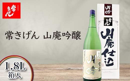 yΐ쌧sz킫 Rp 1.8L  Y { 1800ml   h n n  AR[  蕨 Mtg F6P-2976
