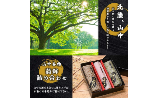 山中名物 蒲鉾詰め合わせ 3種×各1本 かまぼこ 食べ比べ セット 詰合せ 蒲鉾 カニ風味梅花 牛肉半月 サーモン巻き おかず おつまみ 肴 練り物  グルメ 食品 復興 震災 コロナ 能登半島地震復興支援 北陸新幹線 F6P-2810