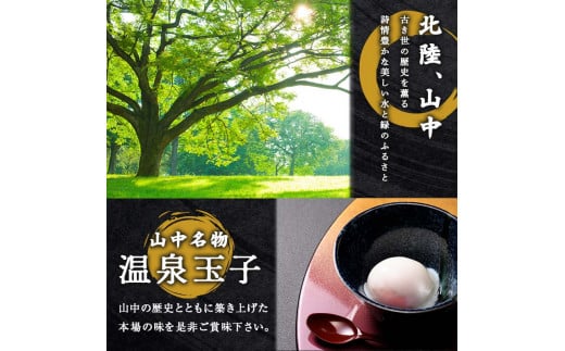 山中名物 温泉玉子 15個入り 山中温泉 温玉 全半熟 半熟 卵 たまご 小分け 朝食  グルメ 食品 復興 震災 コロナ 能登半島地震復興支援 北陸新幹線 F6P-2808
