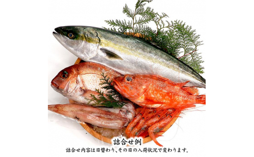 石川県・加賀市 旬の鮮魚 ( 刺身用/下処理済 ) 詰合せ 4～5種 復興　震災　コロナ【能登半島地震復興支援】 北陸新幹線 F6P-0974