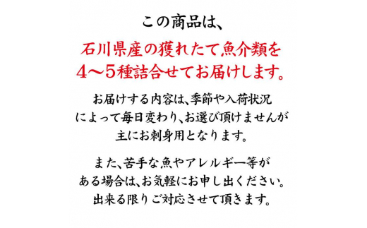 石川県・加賀市 旬の鮮魚 ( 刺身用/下処理済 ) 詰合せ 4～5種 復興　震災　コロナ【能登半島地震復興支援】 北陸新幹線 F6P-0974