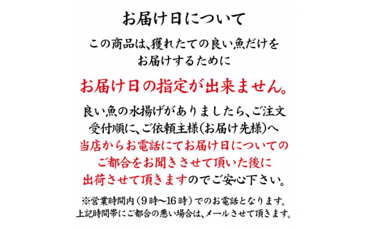 石川県・加賀市 旬の鮮魚 ( 刺身用/下処理済 ) 詰合せ 4～5種 復興　震災　コロナ【能登半島地震復興支援】 北陸新幹線 F6P-0974