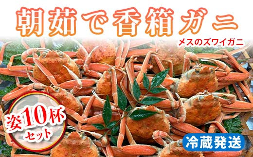 yΐ쌧szys\zy①z䥂ōKj X̃YCKj p10tZbg 2025N11{ȍ~ 䥂 Jj  I p I  ΂ 䥂 {C Mtg O C̍K CY Hi F6P-2178