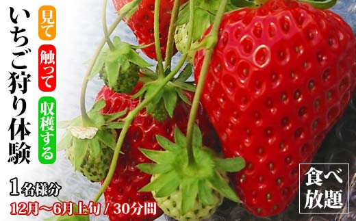 yΐ쌧sž Hו 1l  t[c ̎   C`S  t[c ʕ  ̌  k Ri \onkx kV F6P-1807