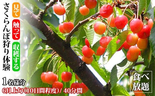 yΐ쌧szڎ̌ Hו 1l ڎ t[c ̎   TN{ t[c ʕ  ̌  k Ri \onkx kV F6P-1808