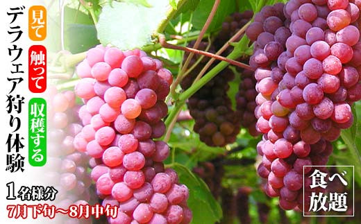 yΐ쌧szfEFǍ Hו 1l fEFA Ԃǂ t[c ̎fEFA Ԃǂ uhE  t[c ʕ  ̌  k Ri \onkx kV F6P-1809