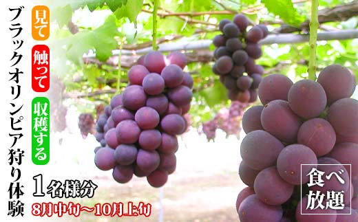 yΐ쌧szubNIsǍ Hו 1l ubNIsA  t[c ̎ Ԃǂ uhE   ʕ  ̌  k Ri \onkx kV F6P-1810
