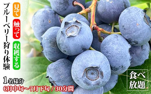 yΐ쌧szu[x[̌ Hו 1l u[x[ t[c ̎  u[x[ x[  t[c ʕ  ̌  k Ri \onkx kV F6P-1811
