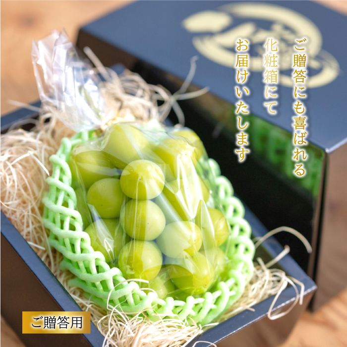 2016Radygirl様専用クール便シャインマスカット5k✖︎4ケース