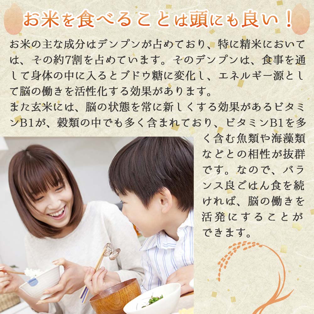 【きぬむすめ】令和６年産 白米10kg（10kg×1袋）(25-20)