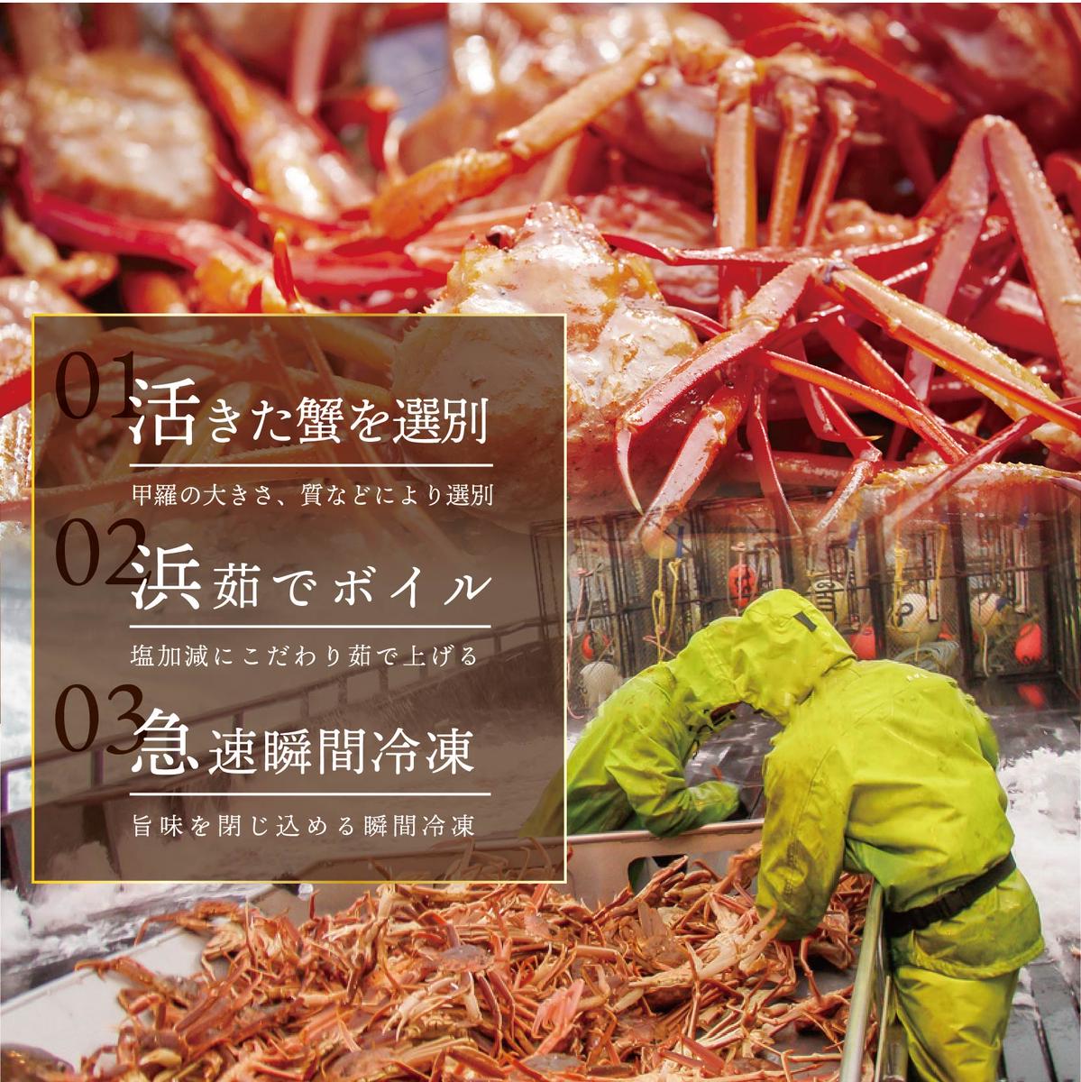 北海道別海町のふるさと納税 訳ありズワイ蟹 2尾（計1.4kg）【SS000HZ01】