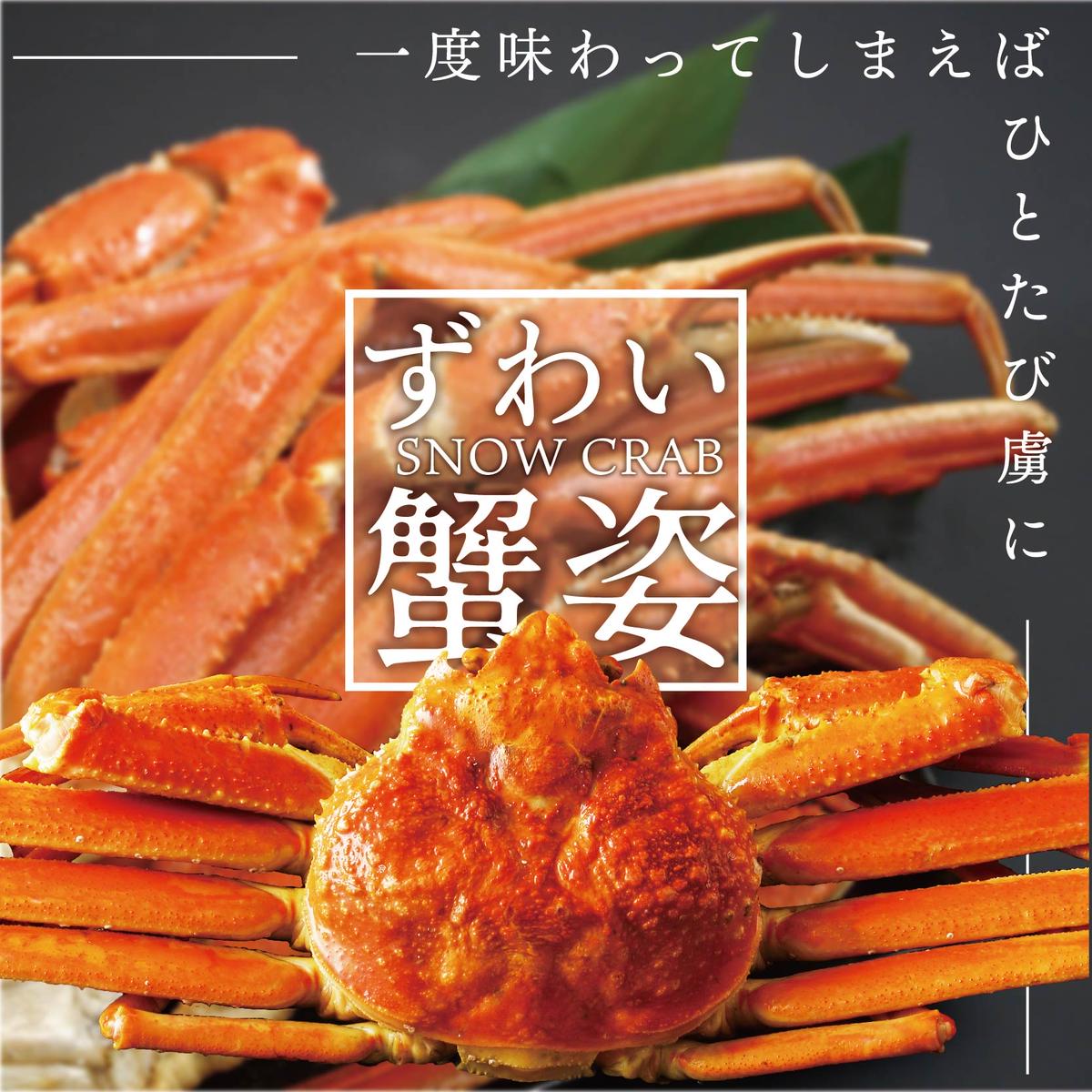 北海道別海町のふるさと納税 訳ありズワイ蟹 2尾（計1.4kg）【SS000HZ01】