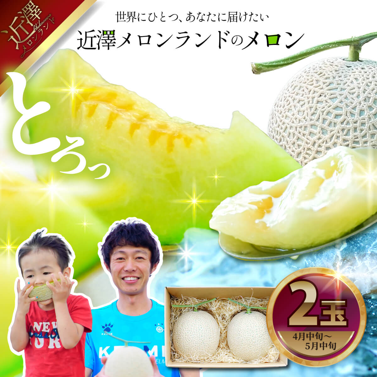 先行予約 メロン ２玉入り（1玉約1.4kg～1.8kg）青肉 2026年春発送 期間限定 メロン めろん マスクメロン 舐瓜 果物 くだもの フルーツ デザート 旬 ハウス栽培 常温配送