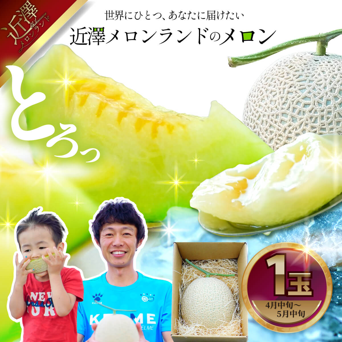 【高知県土佐市】先行予約 メロン 1玉入(約1.4kg〜1.8kg)青肉 2026年春発送 期間限定 メロン めろん マスクメロン 舐瓜 果物 くだもの フルーツ デザート 旬 ハウス栽培 常温配送