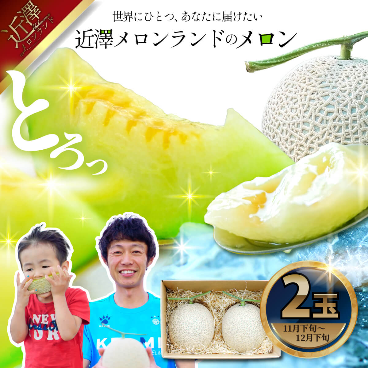 【高知県土佐市】先行予約 メロン 2玉入り(1玉約1.4kg〜1.8kg)青肉 2025年冬発送 期間限定 メロン めろん マスクメロン 舐瓜 果物 くだもの フルーツ デザート 旬 ハウス栽培 常温配送