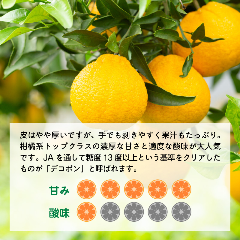 U6306_【2026年先行予約】不知火 しらぬい(デコポンと同品種) 秀品 15～30玉 和歌山県有田産