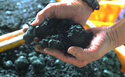 お香 SOZO（ソウゾウ） 春夏秋冬&心 2点セット　　[線香 お供え お香 人気 インセンス アロマ 墓参り 仏具]