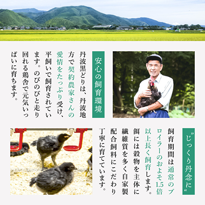 12ヶ月 定期便 地鶏 丹波 黒どり ムネ 2kg 鶏肉 冷凍 丹波山本 高タンパク低カロリー たんぱく質 ボリューム 筋トレ チキン 蒸し鶏 