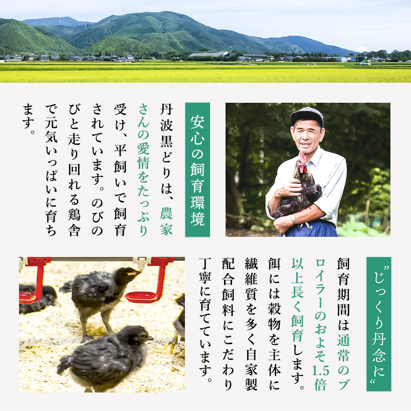 3ヶ月 定期便 地鶏 丹波 黒どり ムネ 2kg 鶏肉 冷凍 丹波山本 高タンパク低カロリー たんぱく質 ボリューム 筋トレ チキン 蒸し鶏 