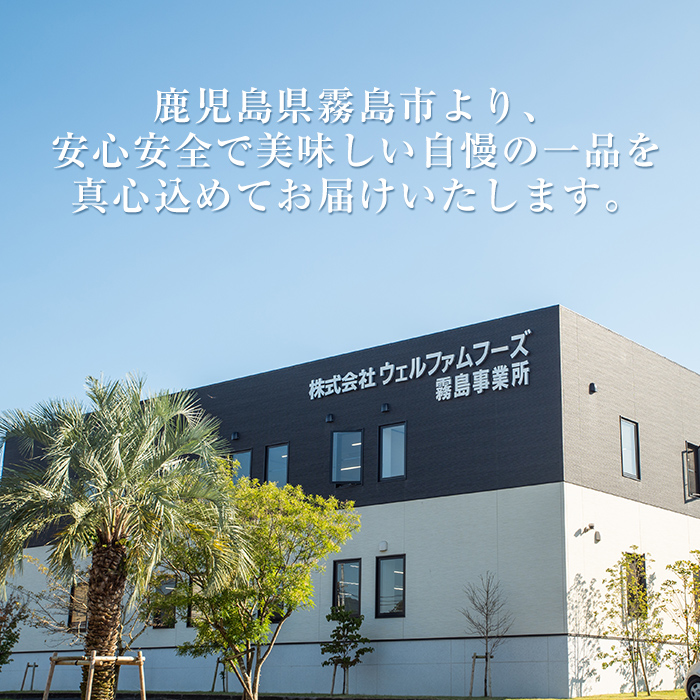 鹿児島県霧島市のふるさと納税 A0-272 森林どり むね肉(2kg×3袋・計6kg)【ウェルファムフーズ】