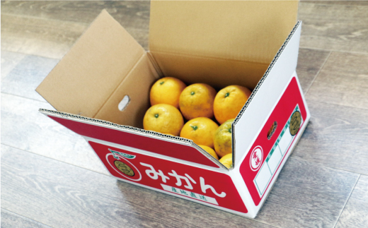 訳あり 河内晩柑 3.5kg 5000円 （発送期間: 4月中旬～8月下旬） みかん かわちばんかん 愛南ゴールド 美生柑 文旦 グレープフルーツ 和製 家庭用  産地直送 国産 農家直送 お試し 少量 試供品 糖度 果樹園 期間限定 数量限定 特産品 ゼリー ジュース 人気 限定 さわやか 甘い おいしい フルーツ 果物 柑橘 蜜柑 規格外 愛媛県 愛南町 マルハラファーム