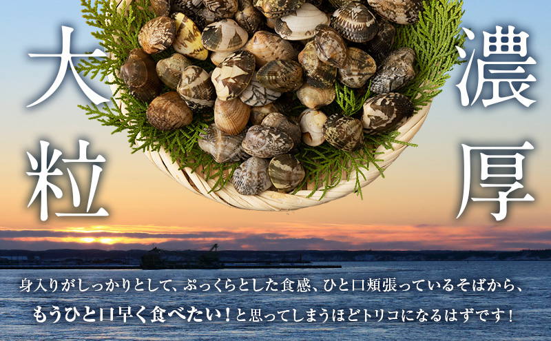 厚岸産 牡蠣 「マルえもん」 LLサイズ 30個 (約4kg) と 厚岸産 あさり 1kg セット (合計約5kg) 牡蠣 あさり 貝類 魚貝類 加工食品 カキ シーフード マルえもん