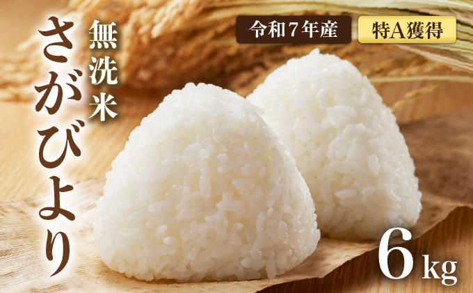 先行予約 [令和7年産] 特A評価 さがび