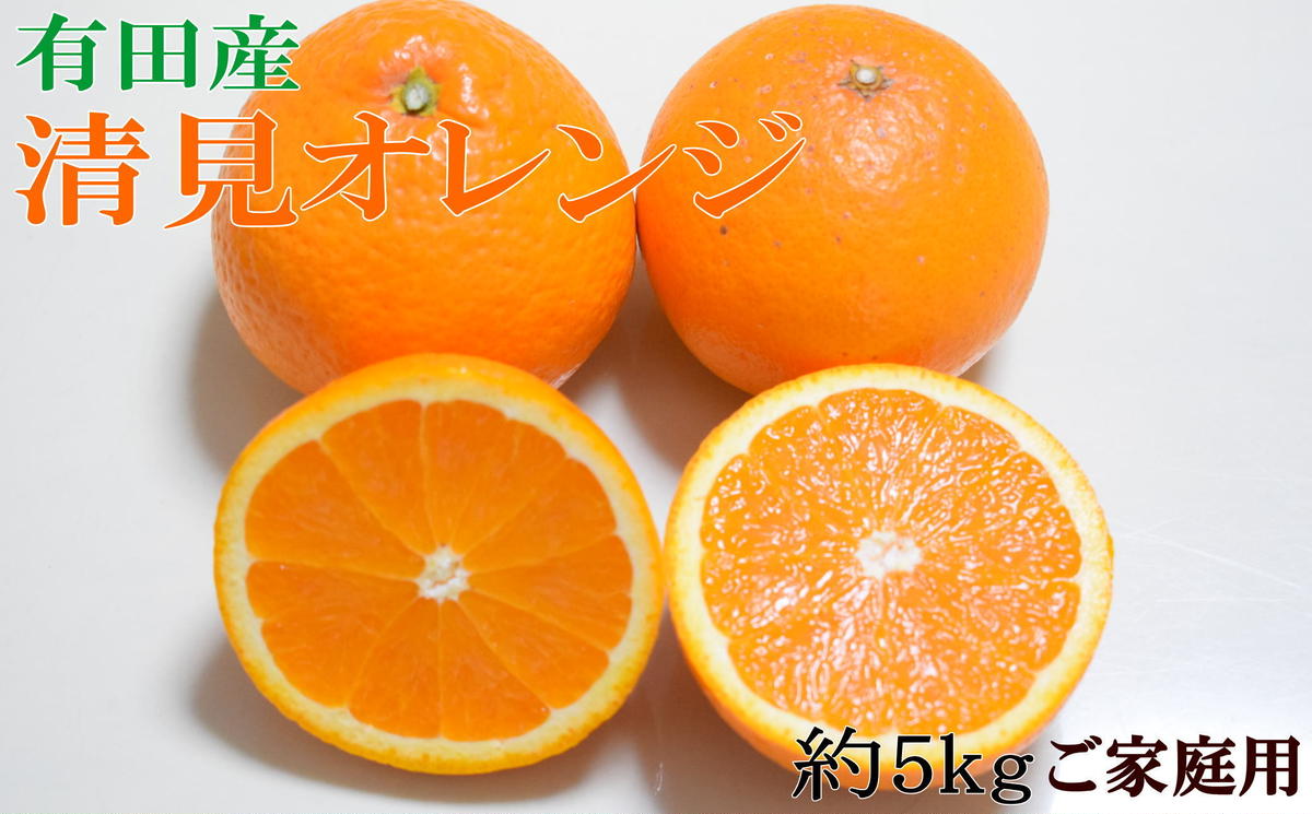 【濃厚】有田産清見オレンジ約5kg(M～3Lサイズおまかせ)ご家庭用 ※2026年2月中旬～3月中旬頃に順次発送予定