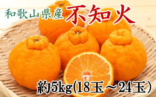 和歌山県産不知火約5kg（18玉～24玉おまかせ）※2026年2月下旬～4月中旬頃に順次発送予定