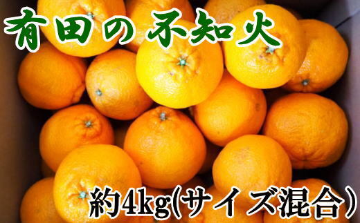 【濃厚】有田産不知火約4kg(2L～5Lサイズ混合) 
※2026年2月中旬～3月下旬頃に順次発送予定
