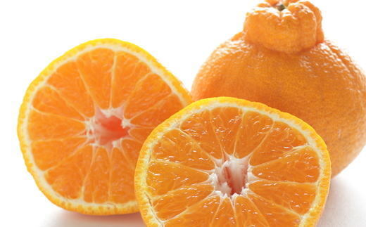 【濃厚】有田産不知火約4kg(2L～5Lサイズ混合) 
※2026年2月中旬～3月下旬頃に順次発送予定